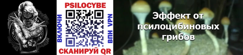 Псилоцибиновые грибы Magic Shrooms  Купить  Бабушкин 